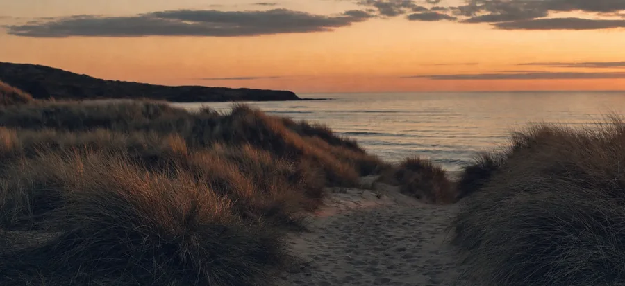 A sand path through marram grass opening onto the water at sunset (example photo)